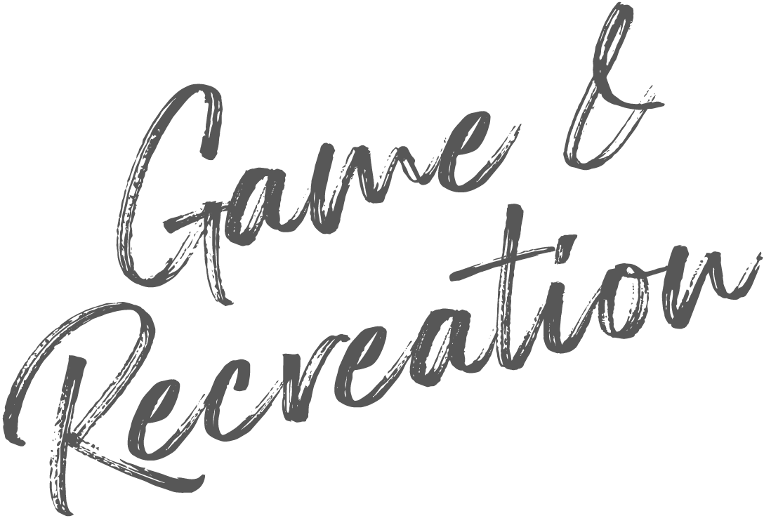 Game Recreation